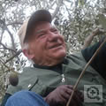 thumbnail image: Virio in the Olive Tree